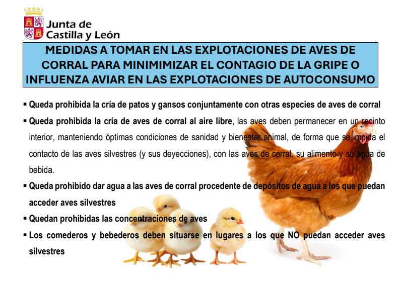 CARTEL