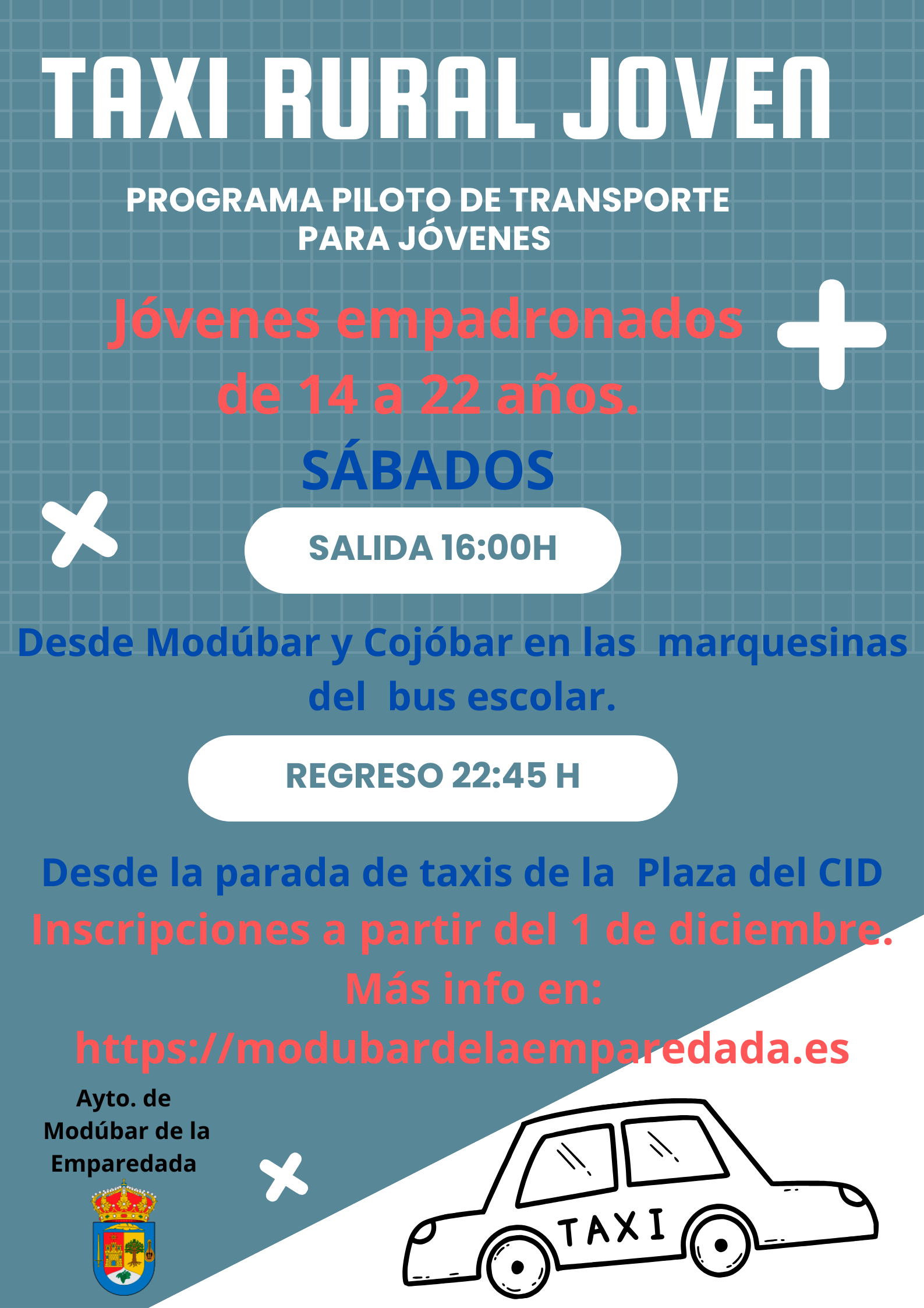 CARTEL SERVICIO TAXI TURAL JOVEN