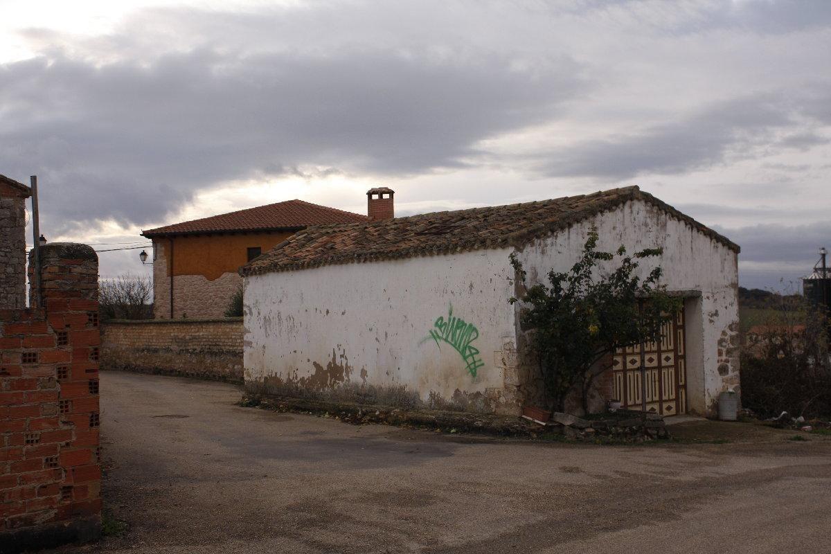 Fotografía de la galería de imágenes con id: 906